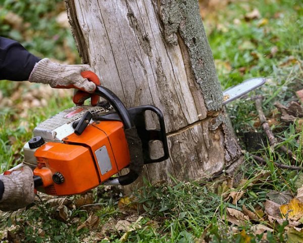 Man cutting tree with a orange chainsaw in his hands